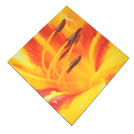 Otel Bz Sunnahof Obersaxen