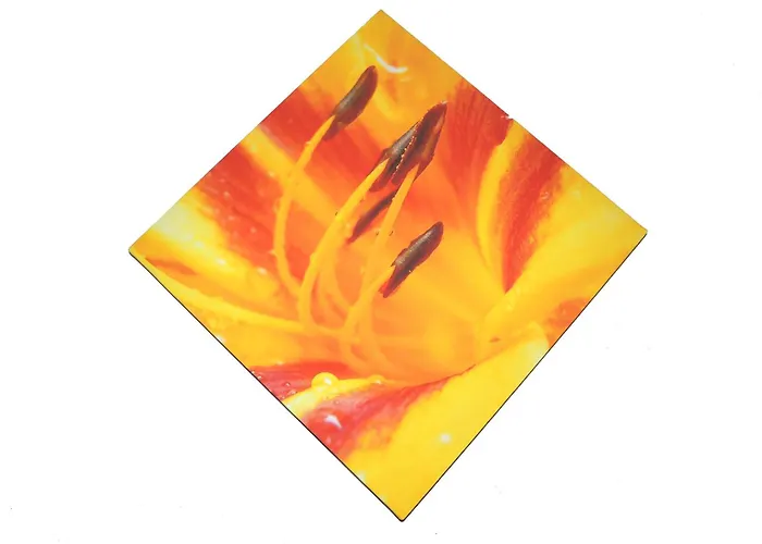 Hotel Bz Sunnahof Obersaxen